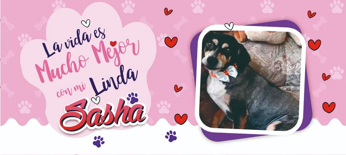 Diseño de taza personalizada con foto de mascota, sublimación en San Cristóbal